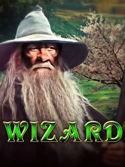 Wizard