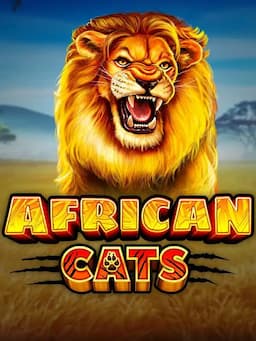 African Cats